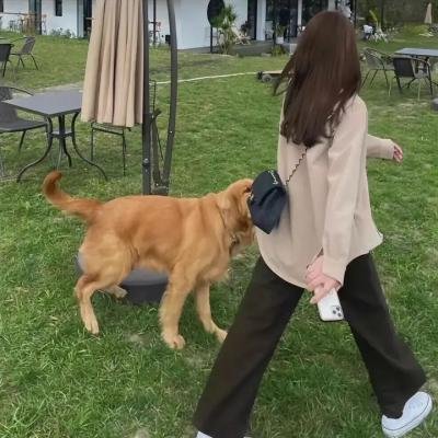 感官妄想